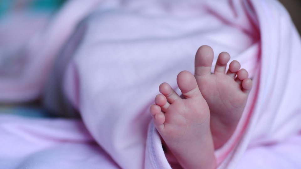 Mnohdy jediná cesta k založení vlastní rodiny vede přes dárcovství vajíčka